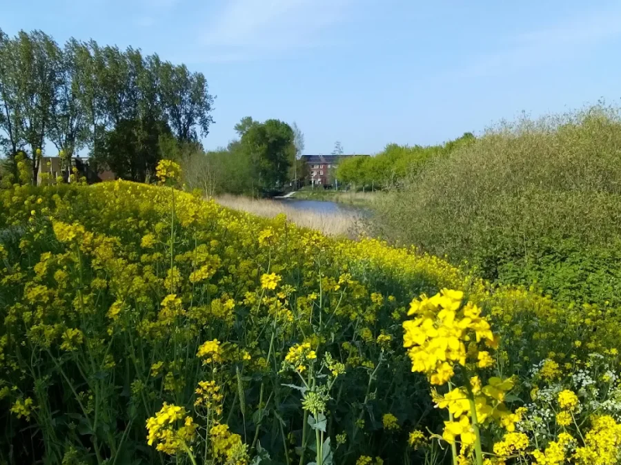 Wonen in Lunetten