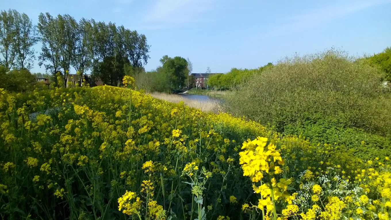 Wonen in Lunetten